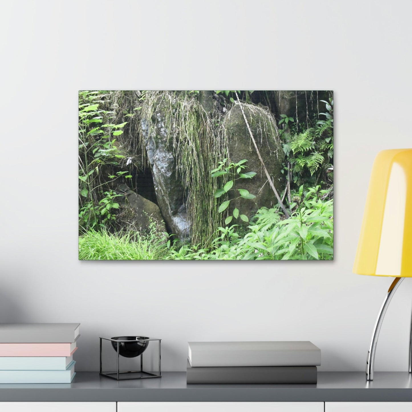 Canvas Stretched - Forest@Home - El Yunque - The longest roots we have seen of a Sierra Palm - early Tradewinds Trail - Green Forest Home