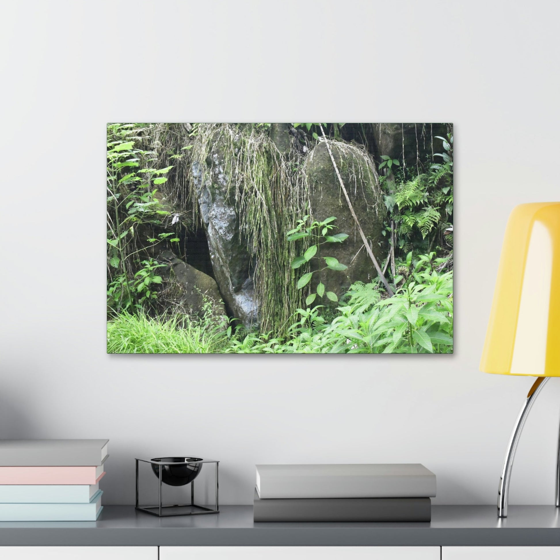 Canvas Stretched - Forest@Home - El Yunque - The longest roots we have seen of a Sierra Palm - early Tradewinds Trail - Green Forest Home
