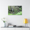 Canvas Stretched - Forest@Home - El Yunque - The longest roots we have seen of a Sierra Palm - early Tradewinds Trail - Green Forest Home