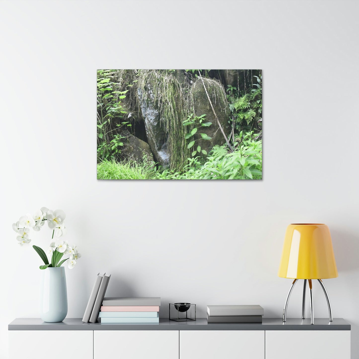 Canvas Stretched - Forest@Home - El Yunque - The longest roots we have seen of a Sierra Palm - early Tradewinds Trail - Green Forest Home