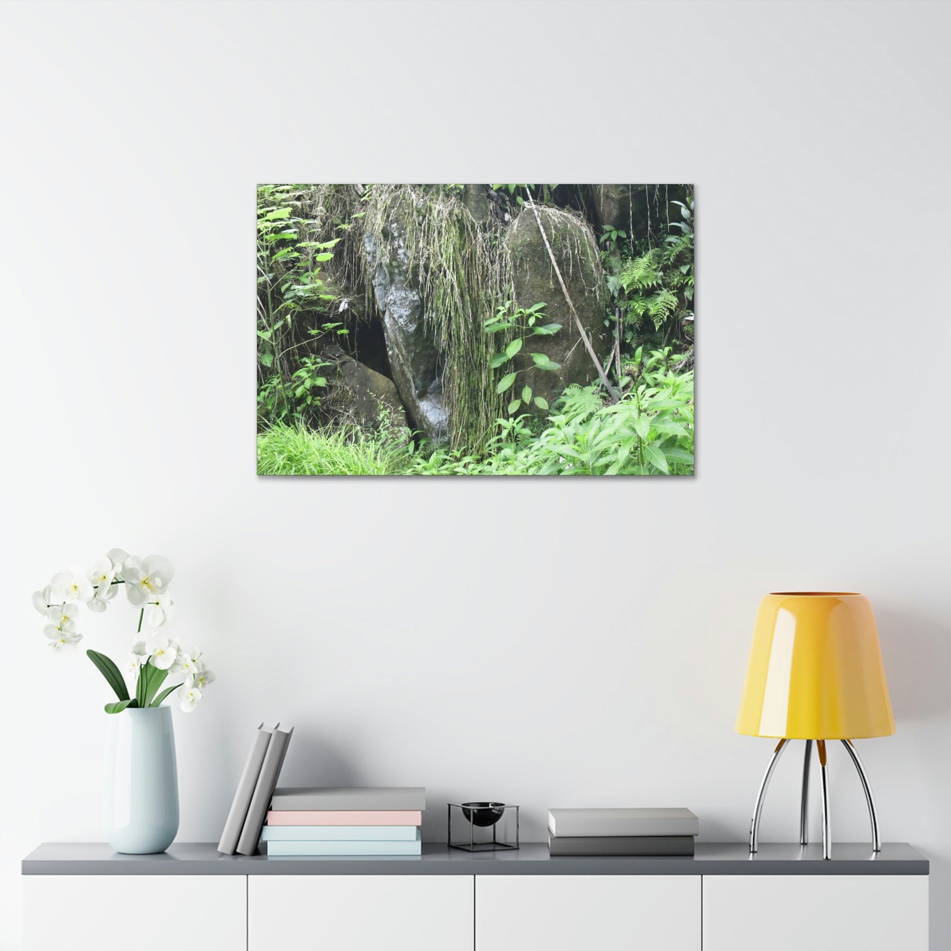 Canvas Stretched - Forest@Home - El Yunque - The longest roots we have seen of a Sierra Palm - early Tradewinds Trail - Green Forest Home