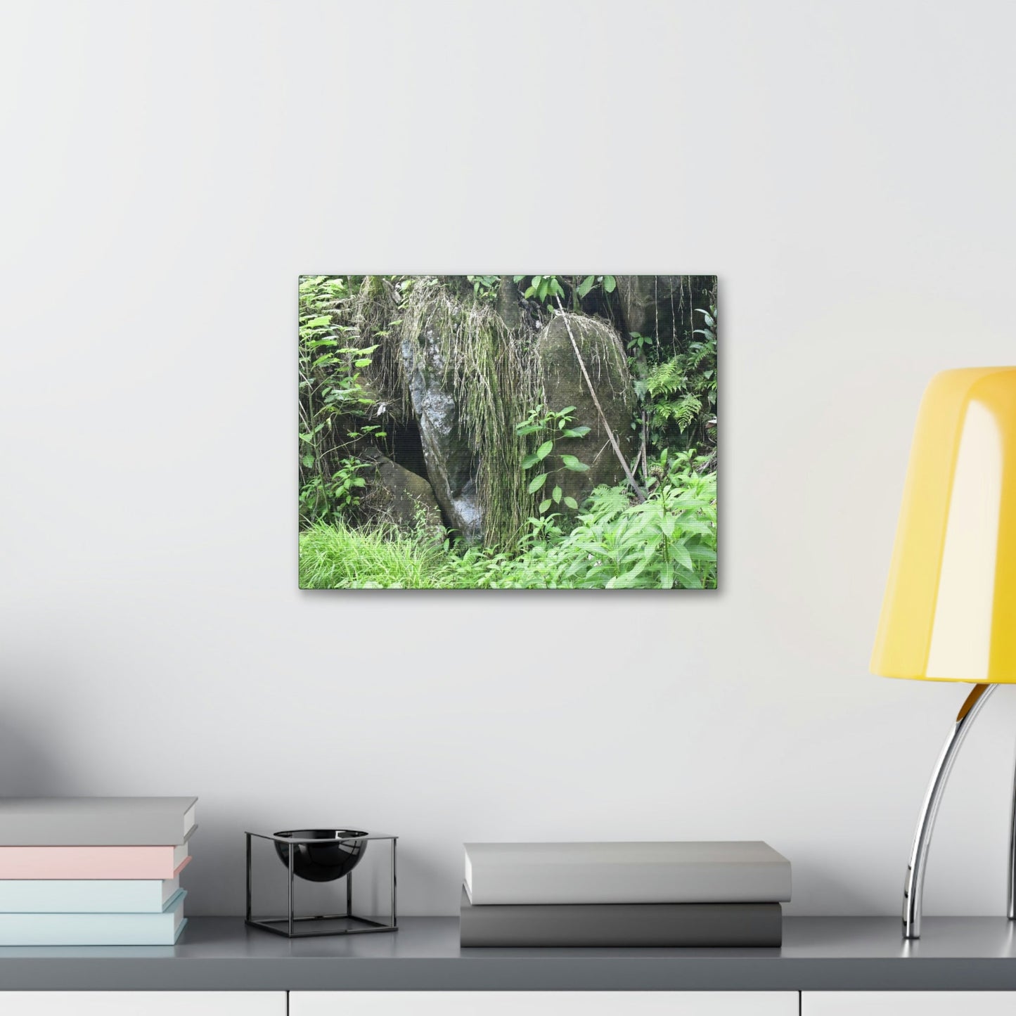 Canvas Stretched - Forest@Home - El Yunque - The longest roots we have seen of a Sierra Palm - early Tradewinds Trail - Green Forest Home