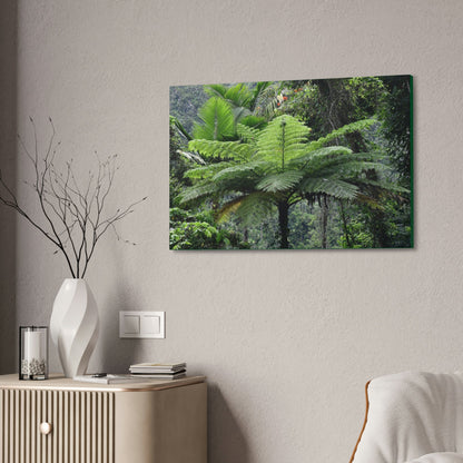 Canvas Stretched - Forest@Home - El Yunque - The most ancient tree is the Fern Palm tree - like the one here millions of years old - Green Forest Home