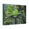 Canvas Stretched - Forest@Home - El Yunque - The most ancient tree is the Fern Palm tree - like the one here millions of years old - Green Forest Home