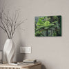 Canvas Stretched - Forest@Home - El Yunque - The most ancient tree is the Fern Palm tree - like the one here millions of years old - Green Forest Home