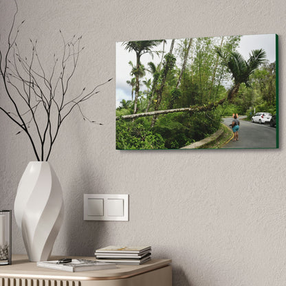Canvas Stretched - Forest@Home - El Yunque - The Mt Britton Trail parking lot - just before the gate & Tradewinds trail entrance - Green Forest Home