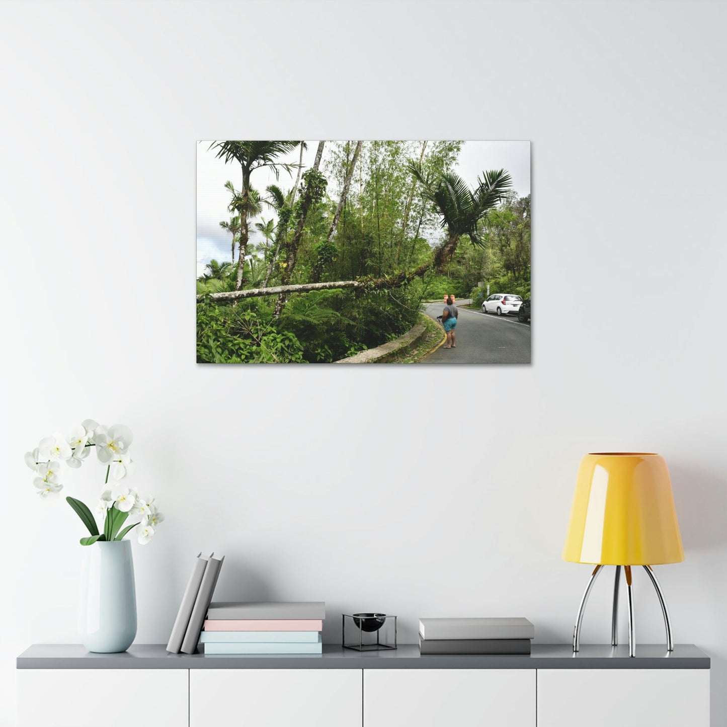 Canvas Stretched - Forest@Home - El Yunque - The Mt Britton Trail parking lot - just before the gate & Tradewinds trail entrance - Green Forest Home
