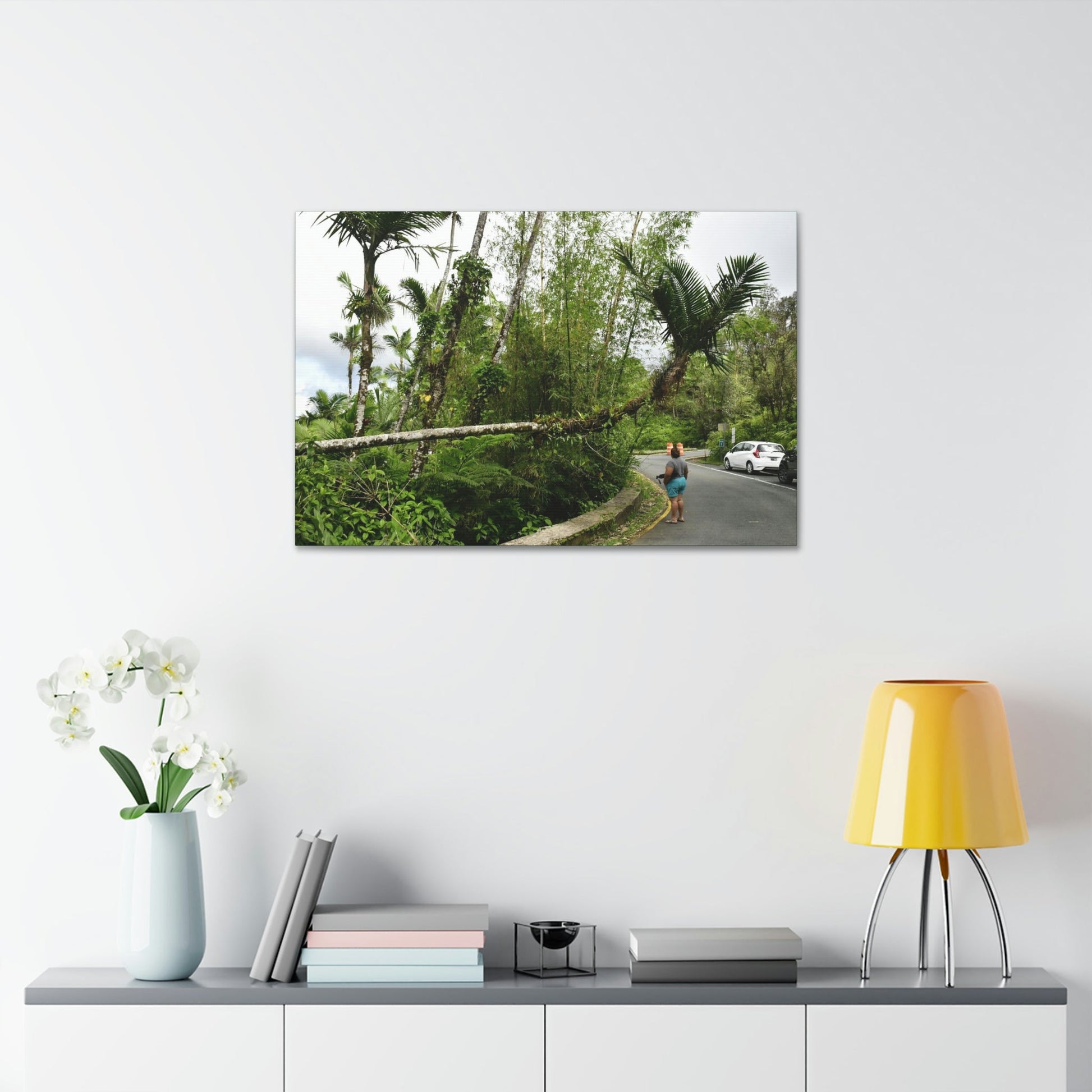 Canvas Stretched - Forest@Home - El Yunque - The Mt Britton Trail parking lot - just before the gate & Tradewinds trail entrance - Green Forest Home