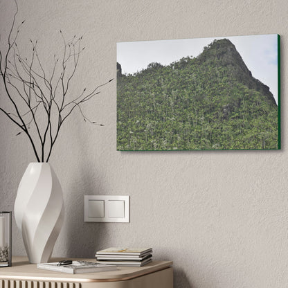 Canvas Stretched - Forest@Home - El Yunque - The peaks near El Yunque peak in recovery after the Hurricane Maria 140mph winds - Green Forest Home