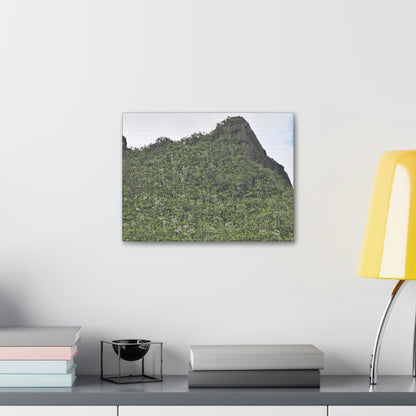 Canvas Stretched - Forest@Home - El Yunque - The peaks near El Yunque peak in recovery after the Hurricane Maria 140mph winds - Green Forest Home