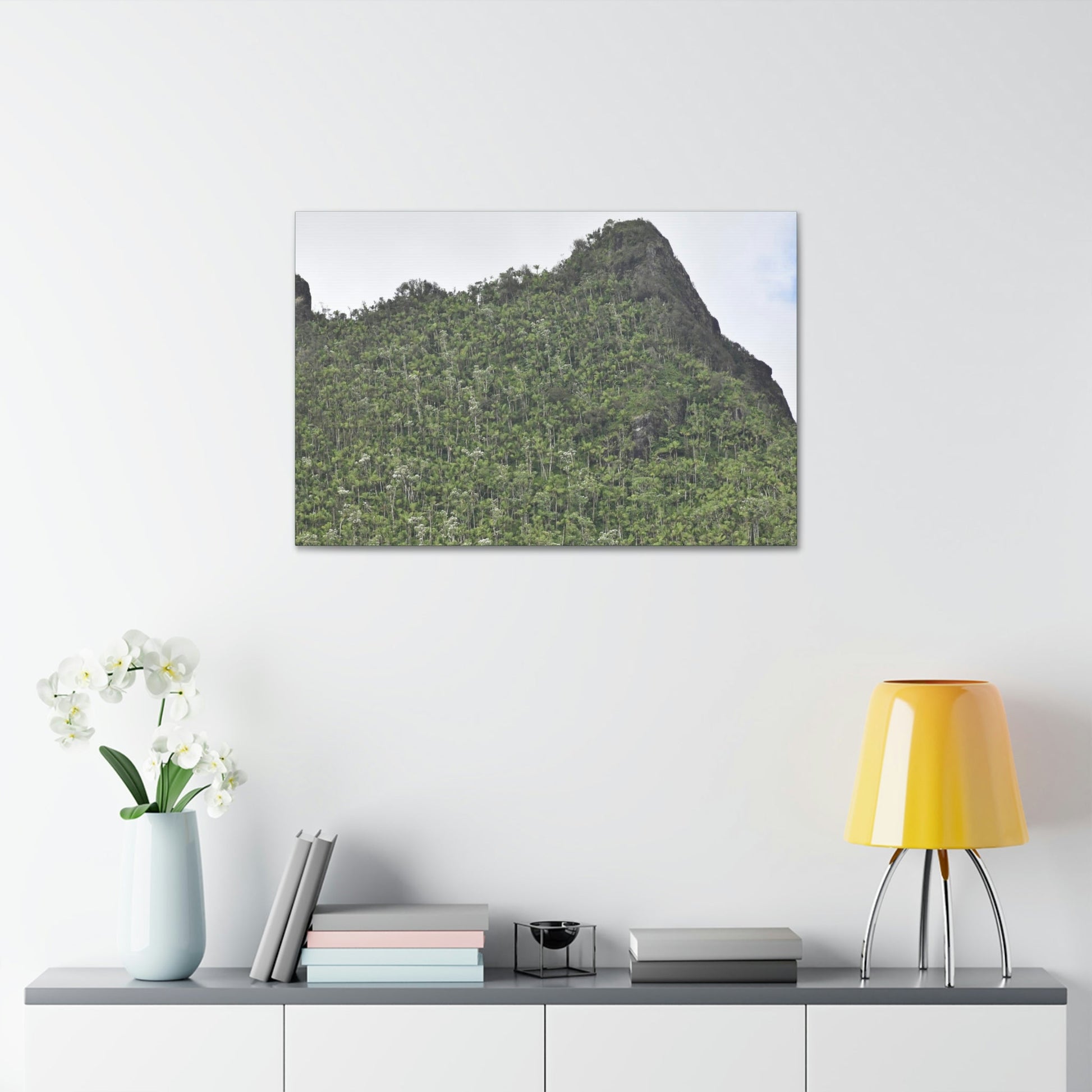 Canvas Stretched - Forest@Home - El Yunque - The peaks near El Yunque peak in recovery after the Hurricane Maria 140mph winds - Green Forest Home