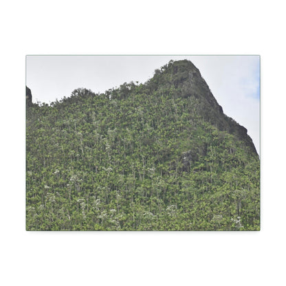 Canvas Stretched - Forest@Home - El Yunque - The peaks near El Yunque peak in recovery after the Hurricane Maria 140mph winds - Green Forest Home