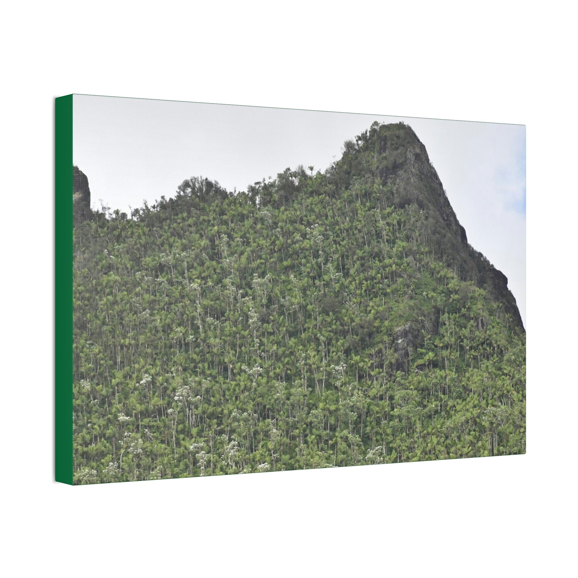Canvas Stretched - Forest@Home - El Yunque - The peaks near El Yunque peak in recovery after the Hurricane Maria 140mph winds - Green Forest Home