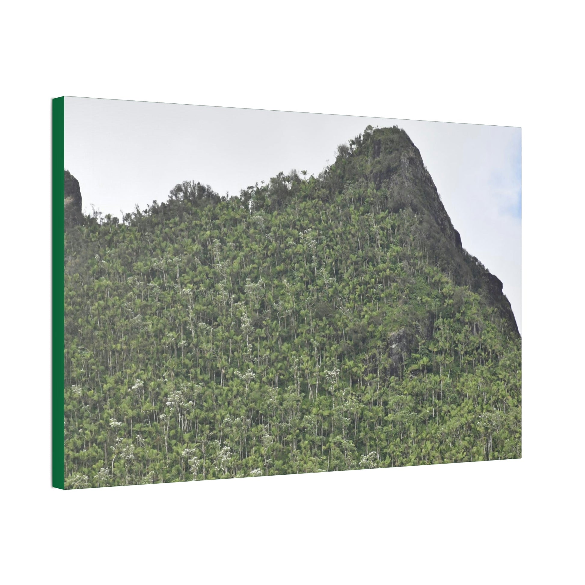Canvas Stretched - Forest@Home - El Yunque - The peaks near El Yunque peak in recovery after the Hurricane Maria 140mph winds - Green Forest Home