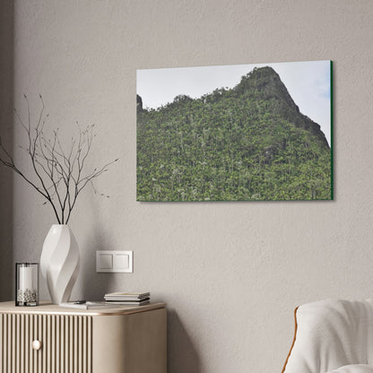 Canvas Stretched - Forest@Home - El Yunque - The peaks near El Yunque peak in recovery after the Hurricane Maria 140mph winds - Green Forest Home