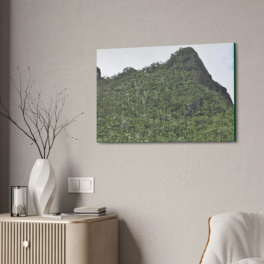 Canvas Stretched - Forest@Home - El Yunque - The peaks near El Yunque peak in recovery after the Hurricane Maria 140mph winds - Green Forest Home