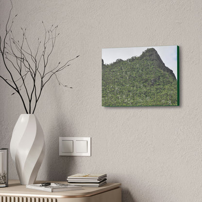 Canvas Stretched - Forest@Home - El Yunque - The peaks near El Yunque peak in recovery after the Hurricane Maria 140mph winds - Green Forest Home