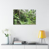 Canvas Stretched - Forest@Home - El Yunque - With 200 inches of rain/year it supports 250 tree species - boulder in Tradewinds trail - Green Forest Home