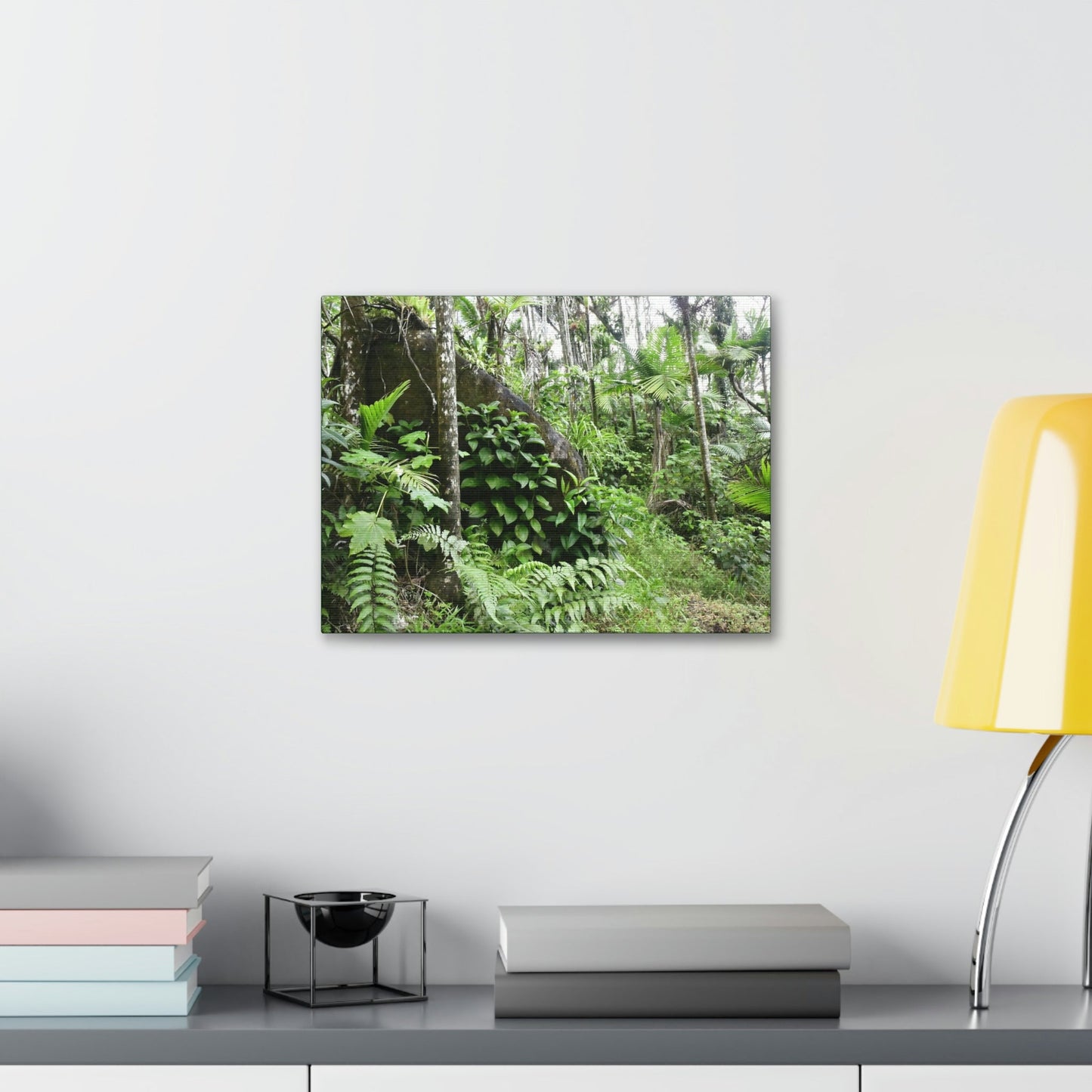 Canvas Stretched - Forest@Home - El Yunque - With 200 inches of rain/year it supports 250 tree species - boulder in Tradewinds trail - Green Forest Home