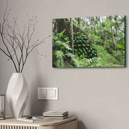 Canvas Stretched - Forest@Home - El Yunque - With 200 inches of rain/year it supports 250 tree species - boulder in Tradewinds trail - Green Forest Home