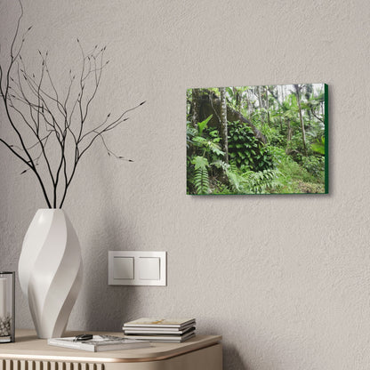 Canvas Stretched - Forest@Home - El Yunque - With 200 inches of rain/year it supports 250 tree species - boulder in Tradewinds trail - Green Forest Home