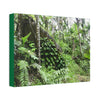 Canvas Stretched - Forest@Home - El Yunque - With 200 inches of rain/year it supports 250 tree species - boulder in Tradewinds trail - Green Forest Home