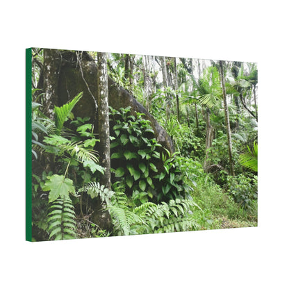 Canvas Stretched - Forest@Home - El Yunque - With 200 inches of rain/year it supports 250 tree species - boulder in Tradewinds trail - Green Forest Home