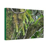 Canvas Stretched - Forest@Home - El Yunque - With 200 inches of rain/year it supports 250 tree species in 30,000 acres - Green Forest Home