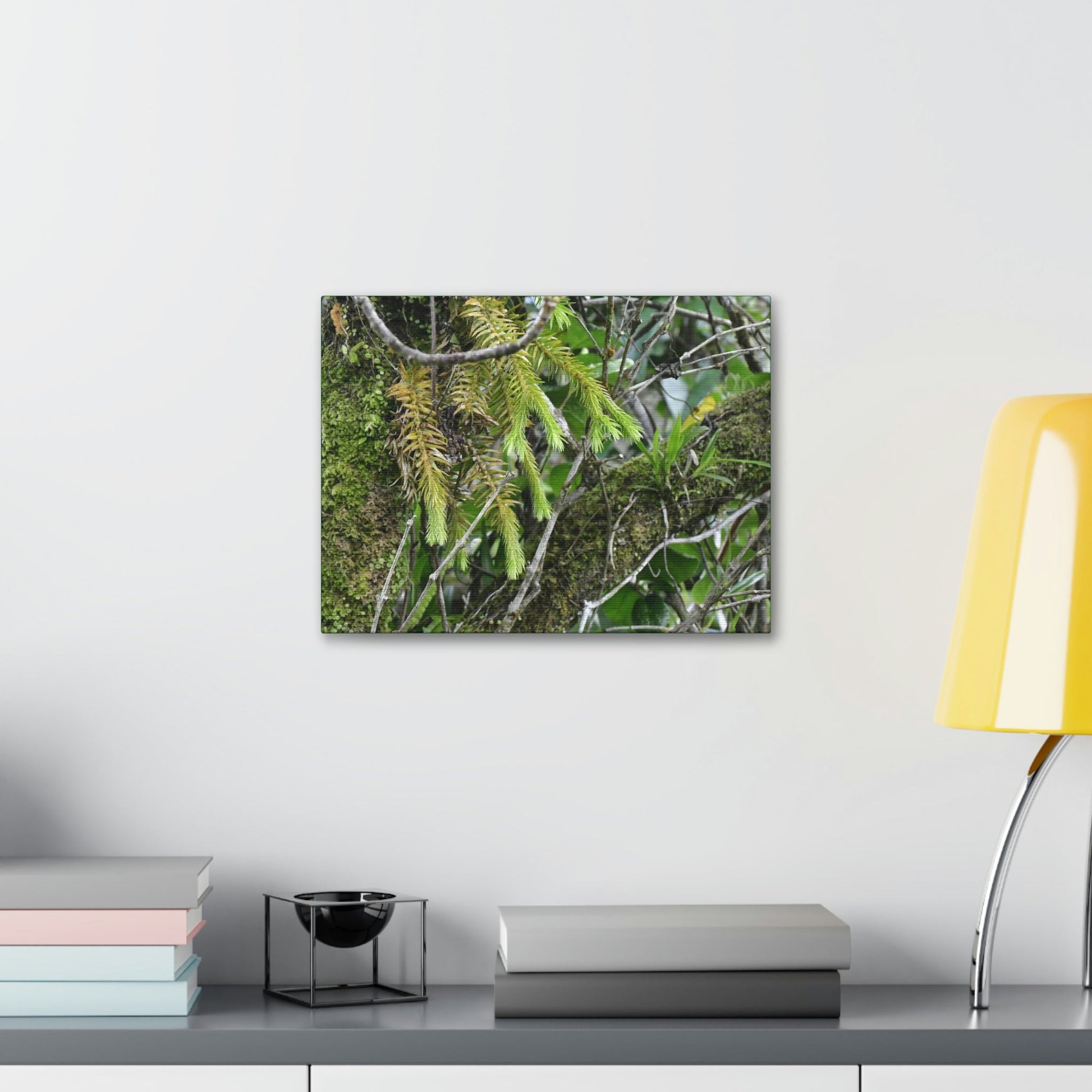 Canvas Stretched - Forest@Home - El Yunque - With 200 inches of rain/year it supports 250 tree species in 30,000 acres - Green Forest Home