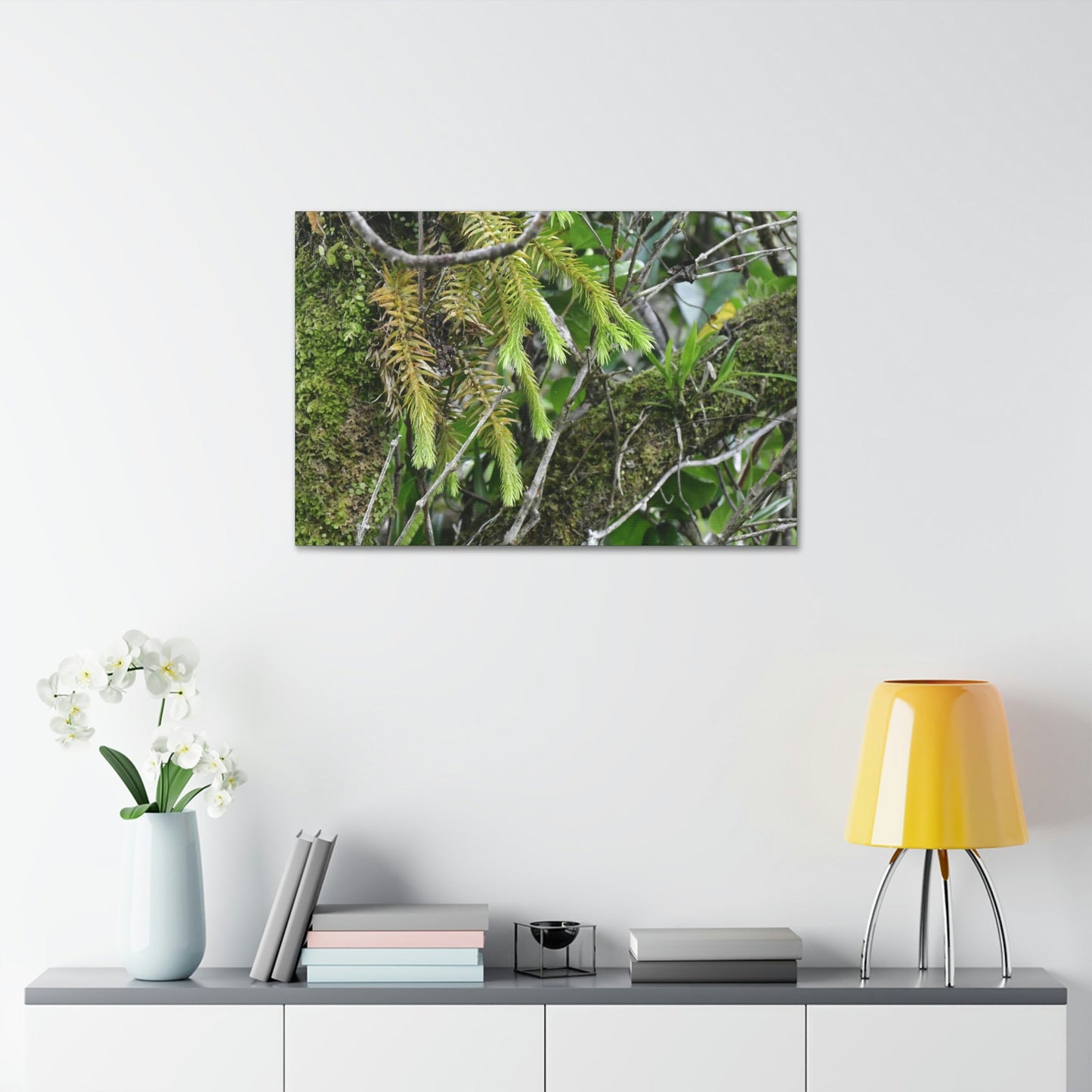 Canvas Stretched - Forest@Home - El Yunque - With 200 inches of rain/year it supports 250 tree species in 30,000 acres - Green Forest Home