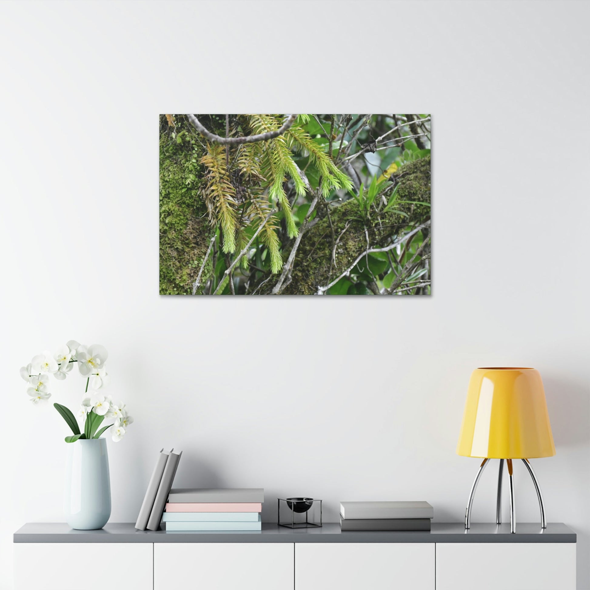 Canvas Stretched - Forest@Home - El Yunque - With 200 inches of rain/year it supports 250 tree species in 30,000 acres - Green Forest Home