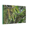 Canvas Stretched - Forest@Home - El Yunque - With 200 inches of rain/year it supports 250 tree species in 30,000 acres - Green Forest Home