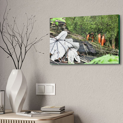 Canvas Stretched - Forest@Home - El Yunque - Yagrumo leaf near palm tree orange roots - Tradewinds - Green Forest Home