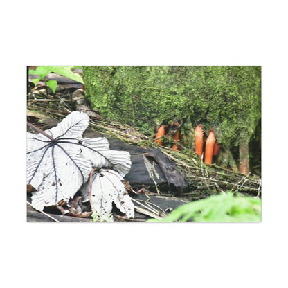 Canvas Stretched - Forest@Home - El Yunque - Yagrumo leaf near palm tree orange roots - Tradewinds - Green Forest Home