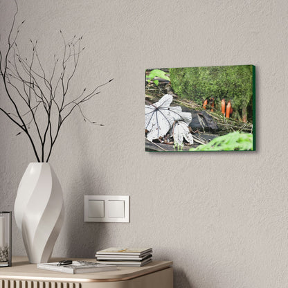 Canvas Stretched - Forest@Home - El Yunque - Yagrumo leaf near palm tree orange roots - Tradewinds - Green Forest Home
