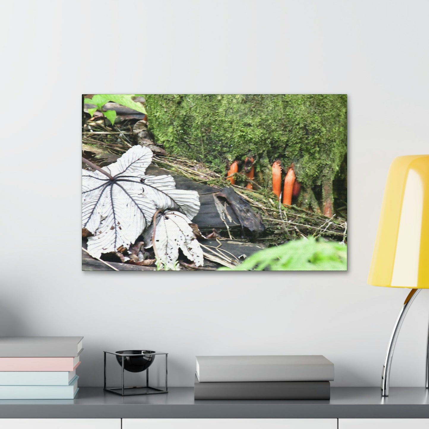 Canvas Stretched - Forest@Home - El Yunque - Yagrumo leaf near palm tree orange roots - Tradewinds - Green Forest Home