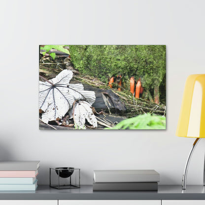 Canvas Stretched - Forest@Home - El Yunque - Yagrumo leaf near palm tree orange roots - Tradewinds - Green Forest Home