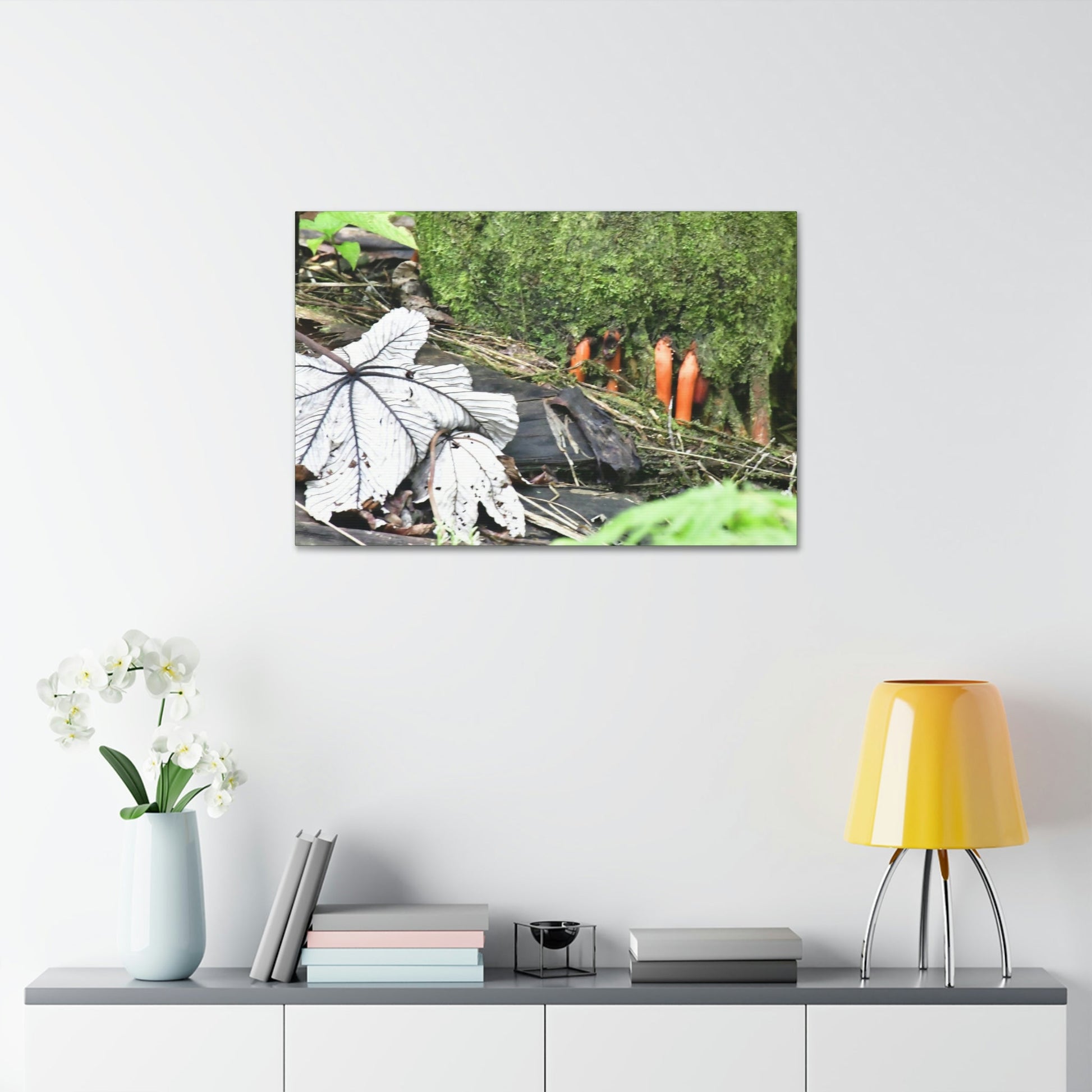Canvas Stretched - Forest@Home - El Yunque - Yagrumo leaf near palm tree orange roots - Tradewinds - Green Forest Home