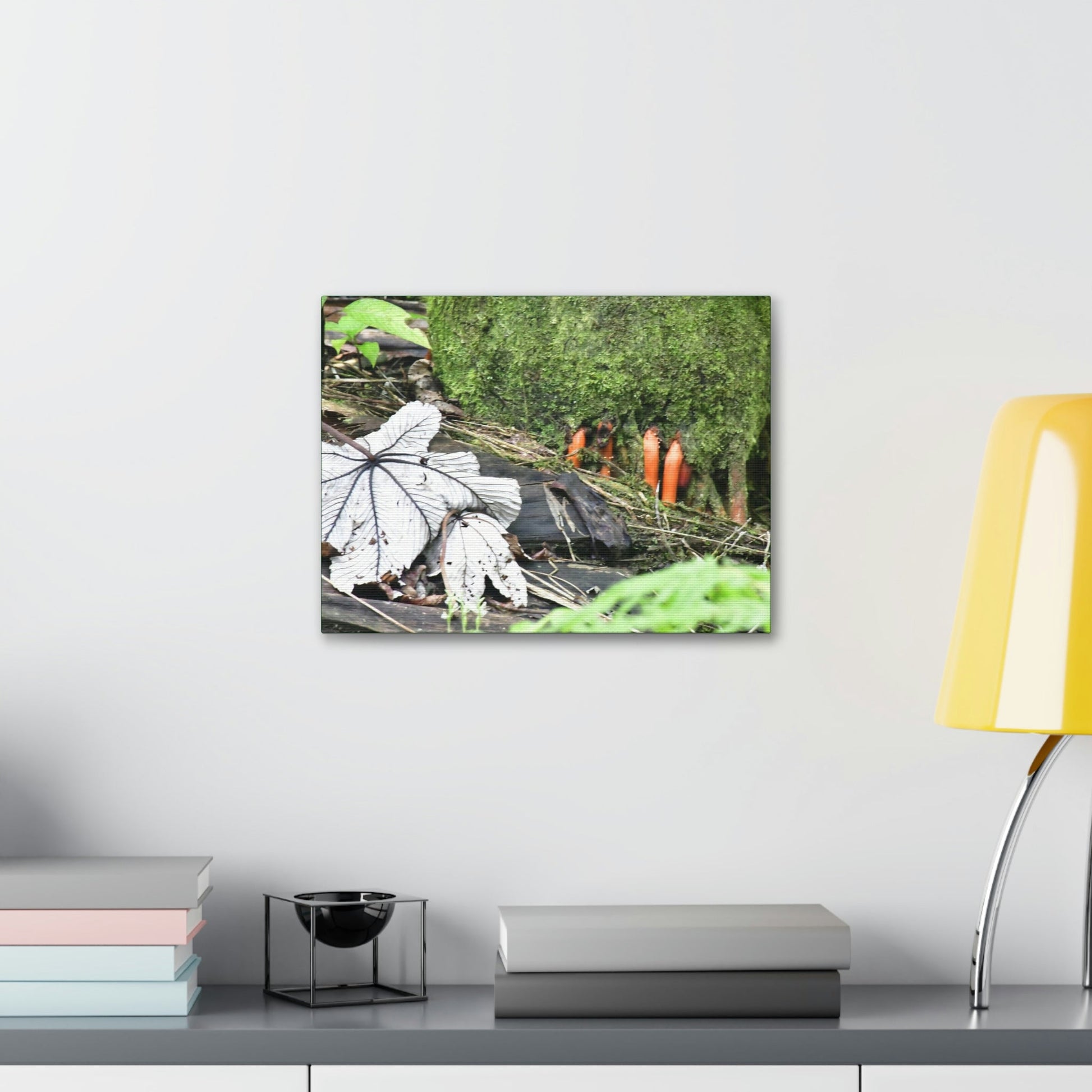 Canvas Stretched - Forest@Home - El Yunque - Yagrumo leaf near palm tree orange roots - Tradewinds - Green Forest Home