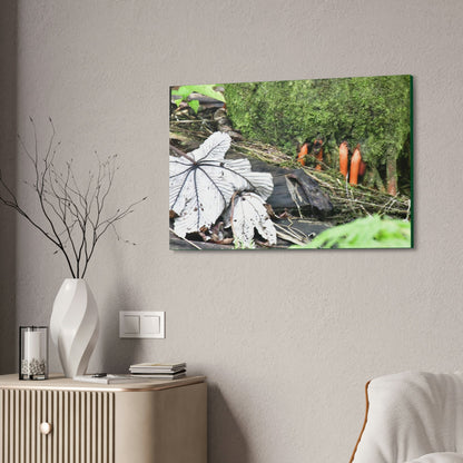 Canvas Stretched - Forest@Home - El Yunque - Yagrumo leaf near palm tree orange roots - Tradewinds - Green Forest Home