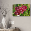 Canvas Stretched - Orchids from Isabela PR - wine color to fill home with nectar - Green Forest Home
