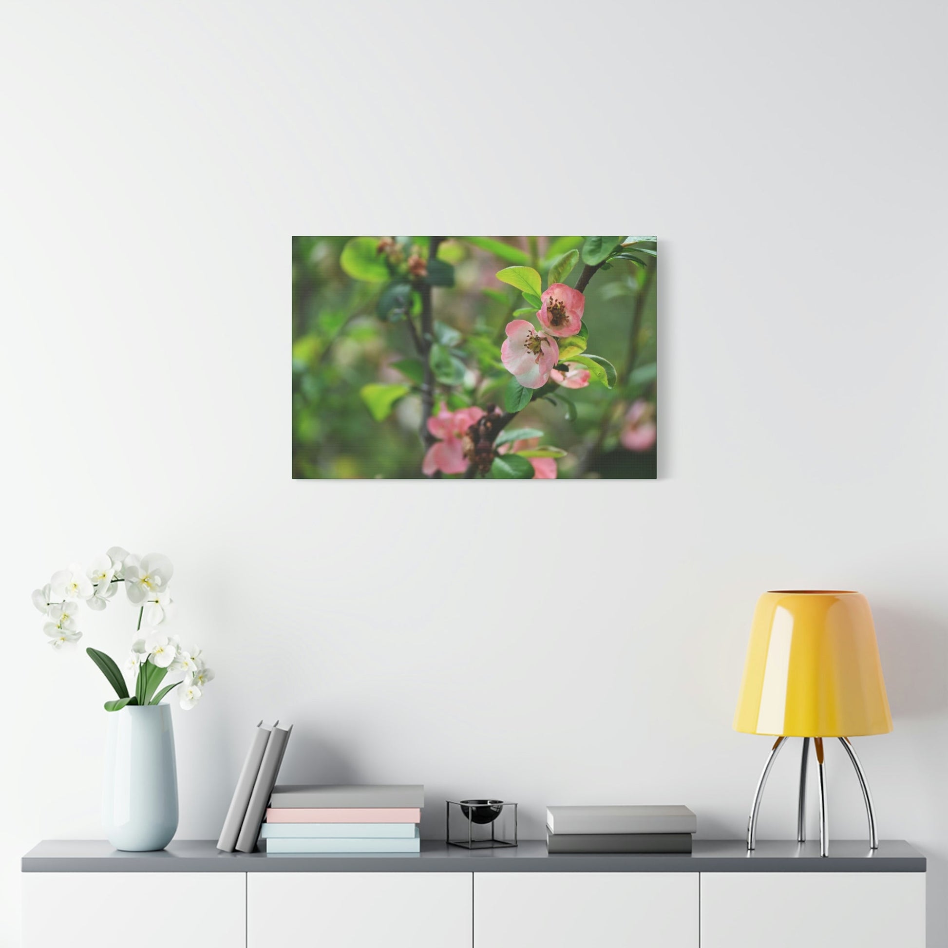 Classic Canvas - Flowering quince ( Chaenomeles speciosa ) flowers. Japan. - Multiple sizes - green sides - great quality - Green Forest Home