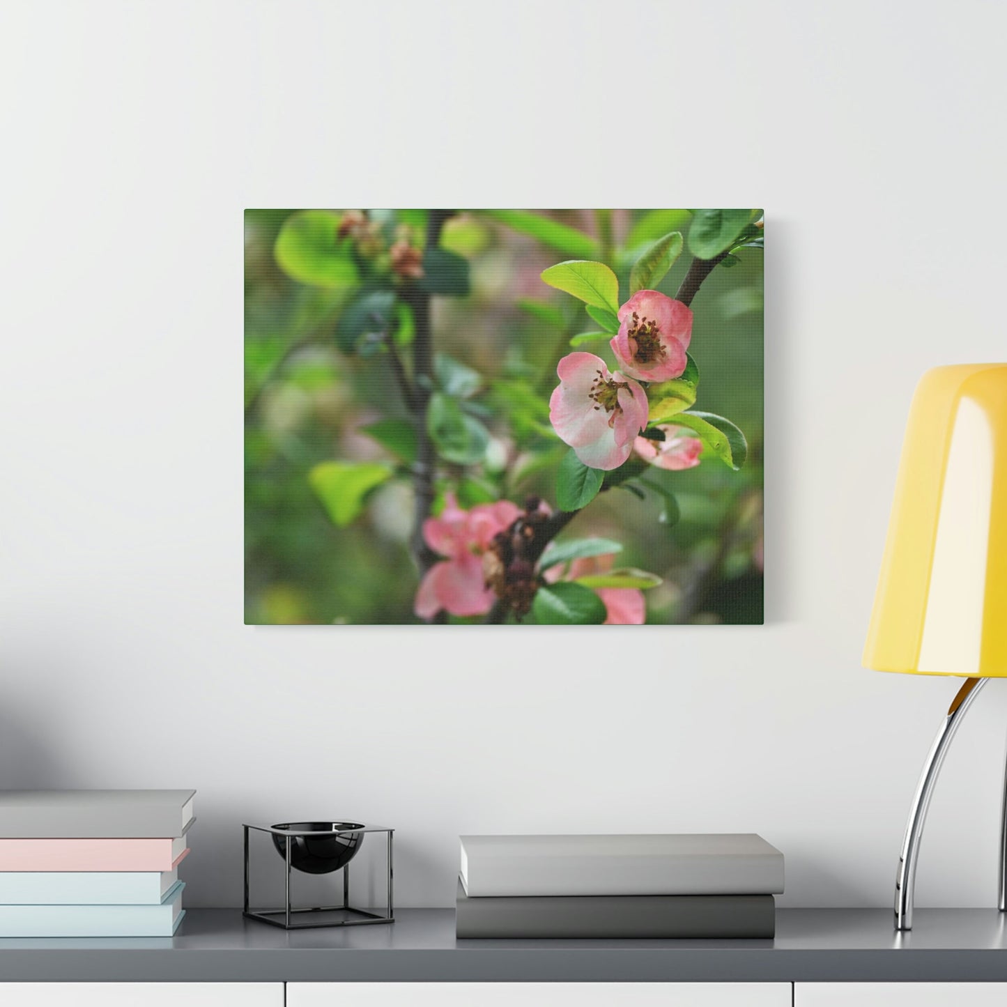 Classic Canvas - Flowering quince ( Chaenomeles speciosa ) flowers. Japan. - Multiple sizes - green sides - great quality - Green Forest Home