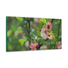 Classic Canvas - Flowering quince ( Chaenomeles speciosa ) flowers. Japan. - Multiple sizes - green sides - great quality - Green Forest Home