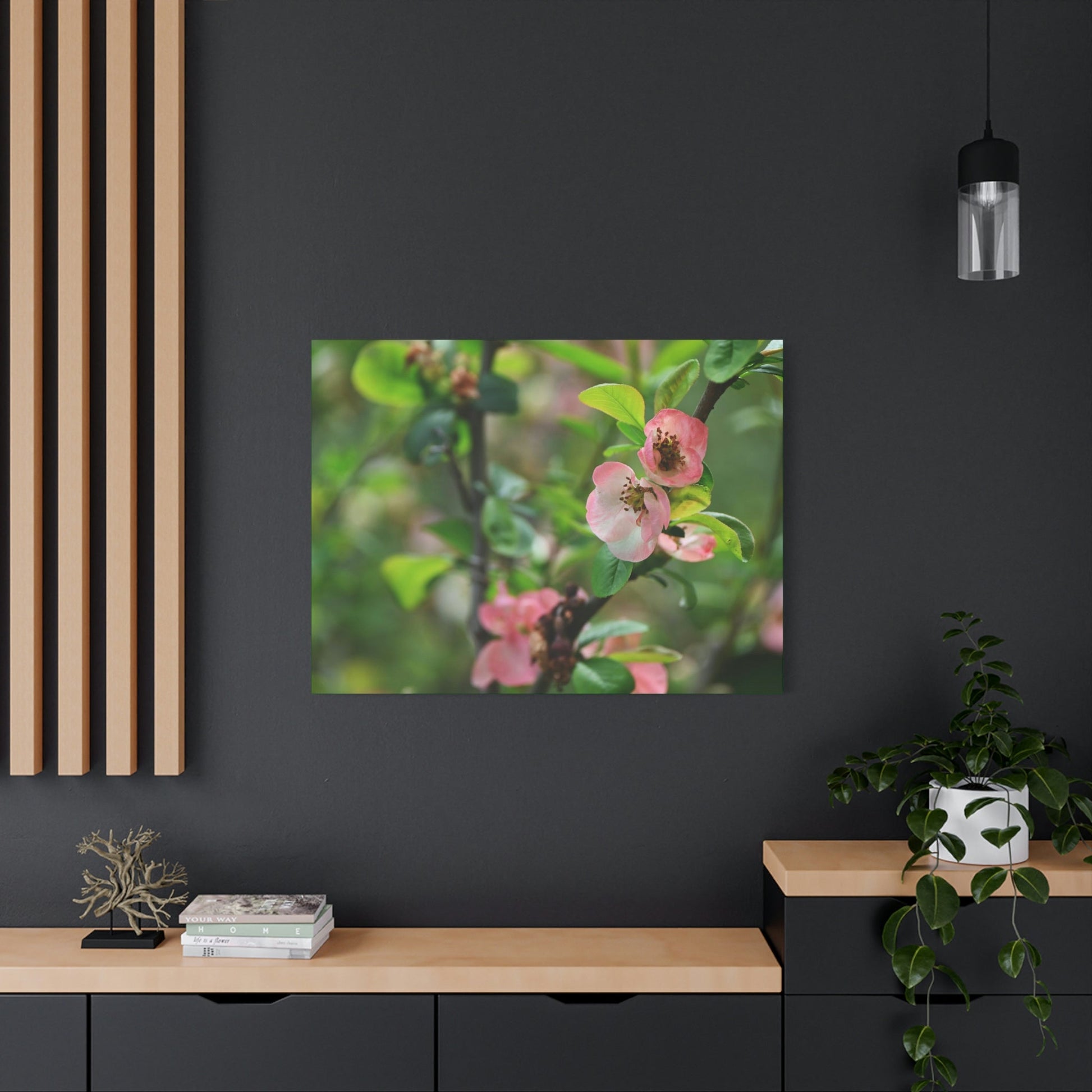 Classic Canvas - Flowering quince ( Chaenomeles speciosa ) flowers. Japan. - Multiple sizes - green sides - great quality - Green Forest Home