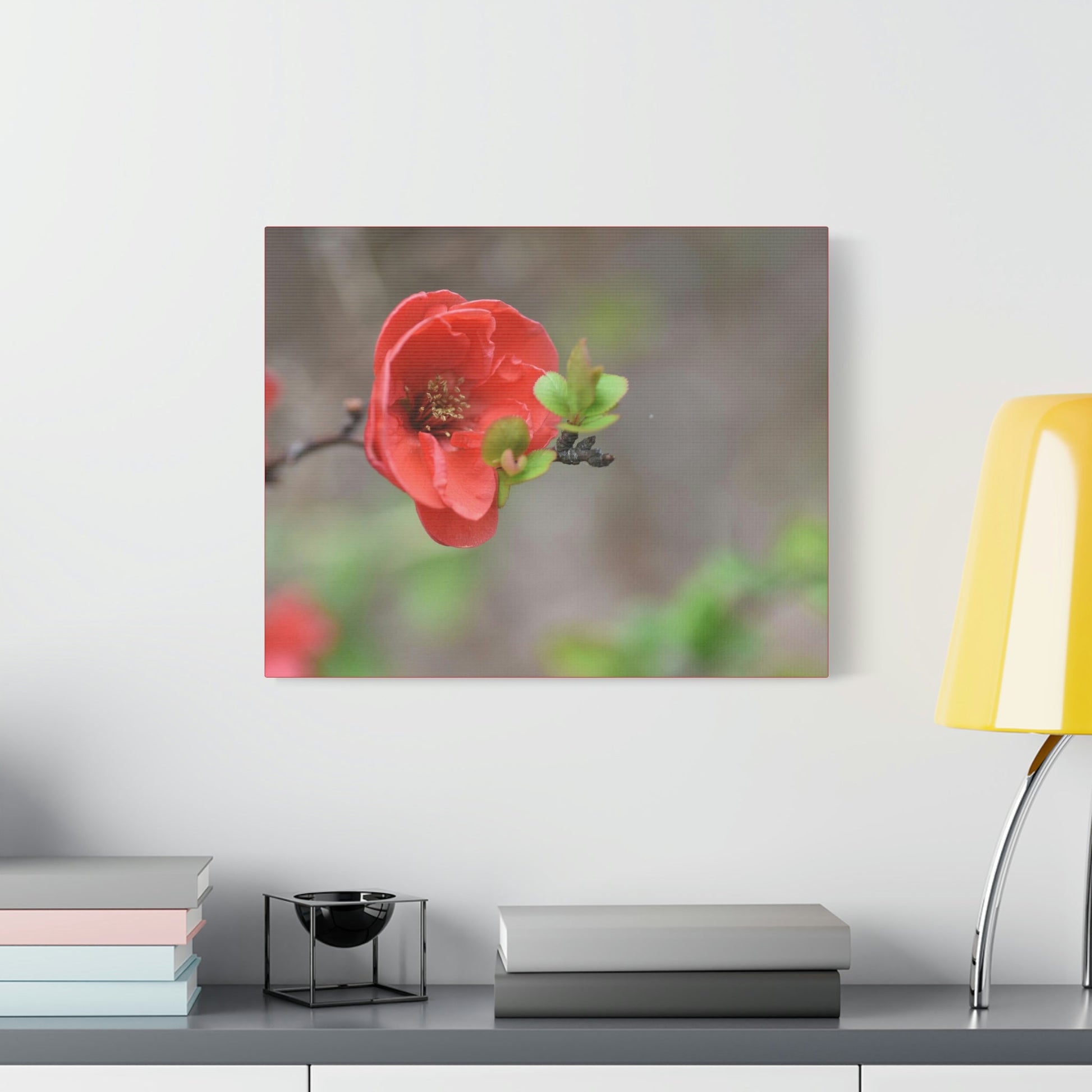 Classic Canvas - Flowering quince ( Chaenomeles speciosa ) flowers. Japan. - Multiple sizes - red sides - great quality - Green Forest Home