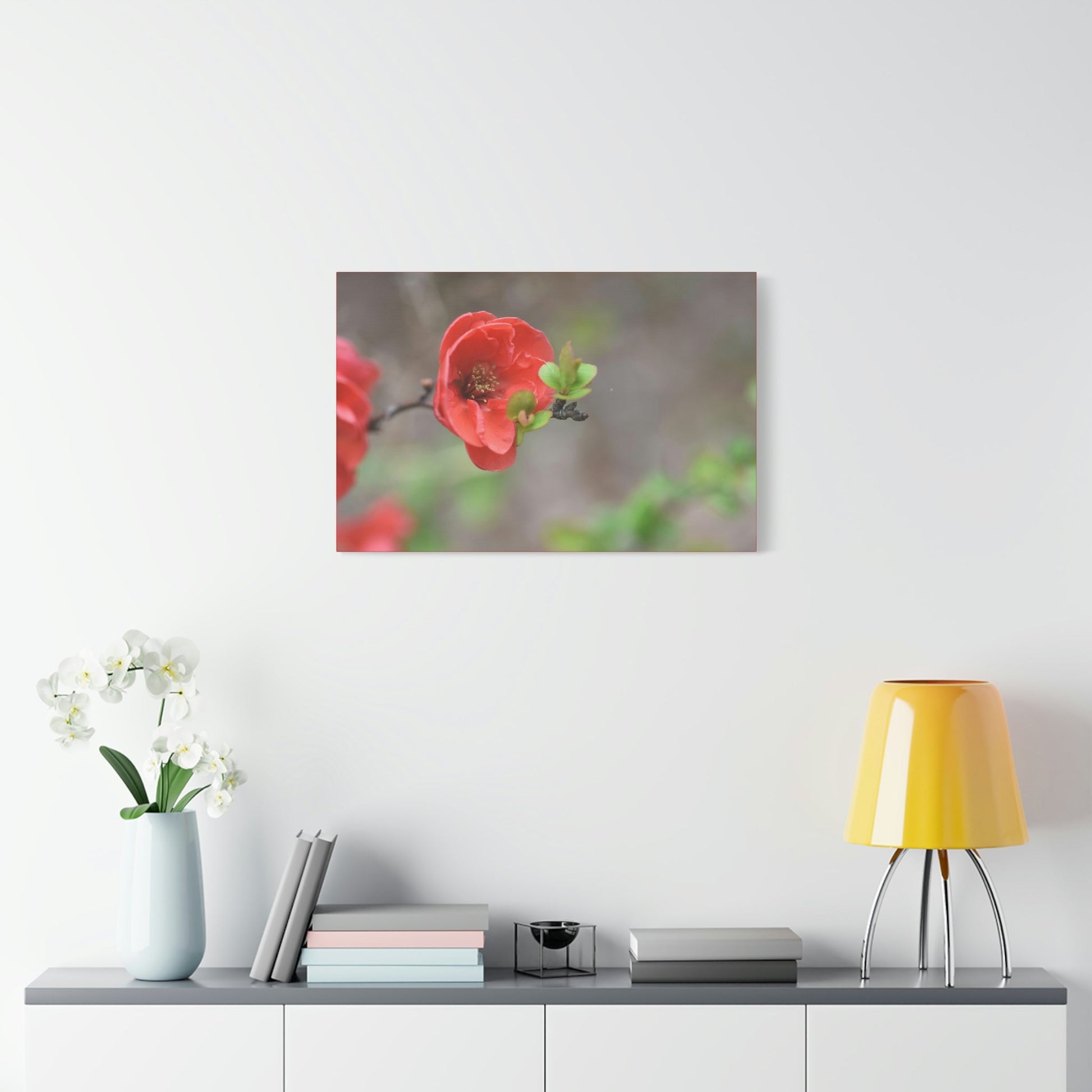 Classic Canvas - Flowering quince ( Chaenomeles speciosa ) flowers. Japan. - Multiple sizes - red sides - great quality - Green Forest Home