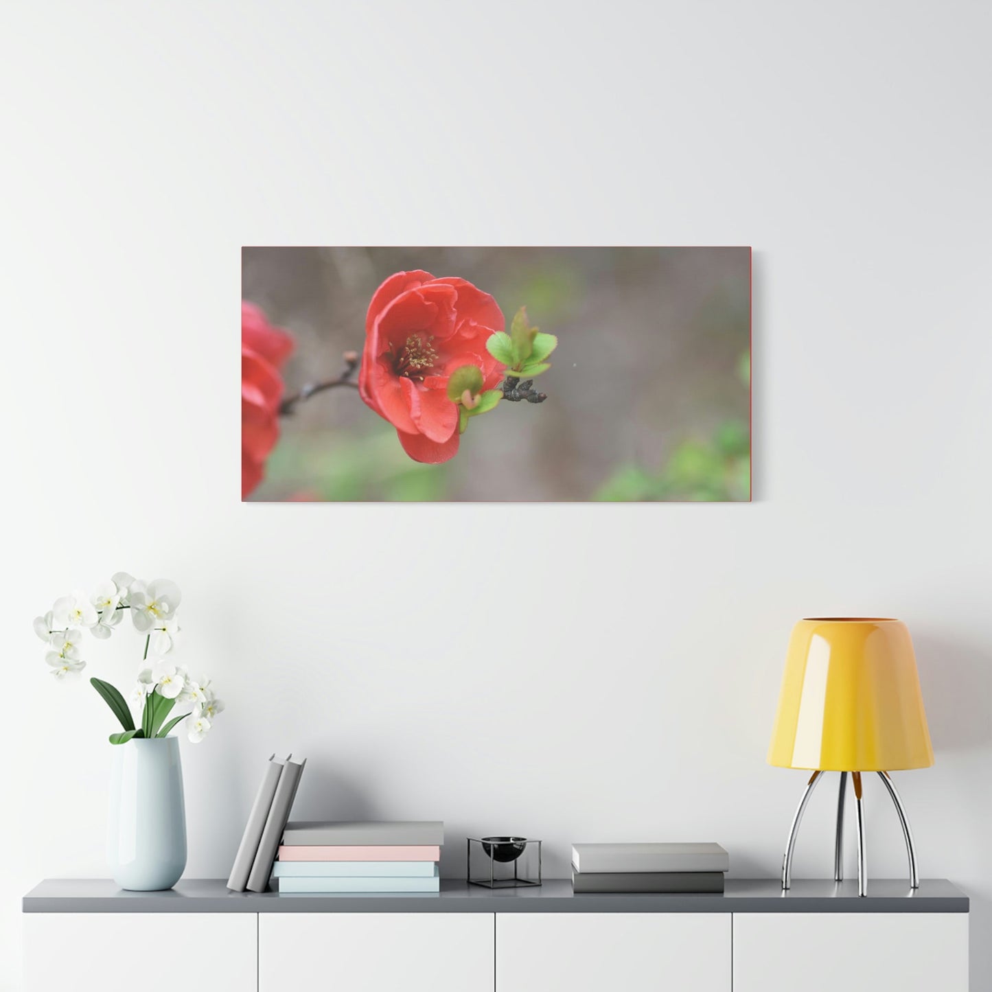 Classic Canvas - Flowering quince ( Chaenomeles speciosa ) flowers. Japan. - Multiple sizes - red sides - great quality - Green Forest Home