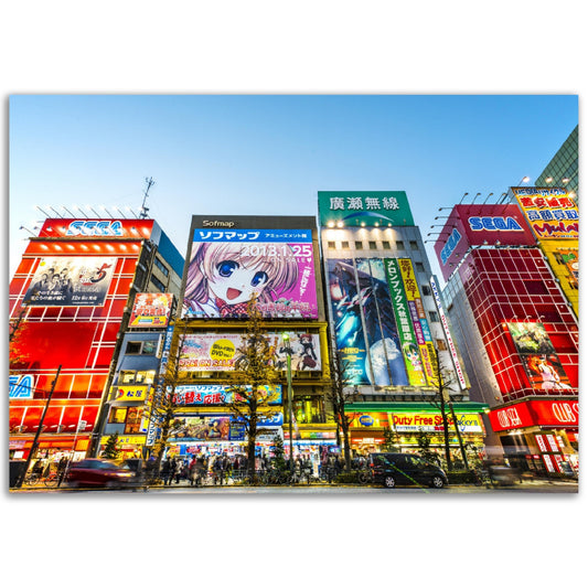 Classic Matte Paper Poster - Akihabara district Tokyo - The district is a major shopping area for electronic, computer, anime, games and otaku goods - JAPAN - Green Forest Home
