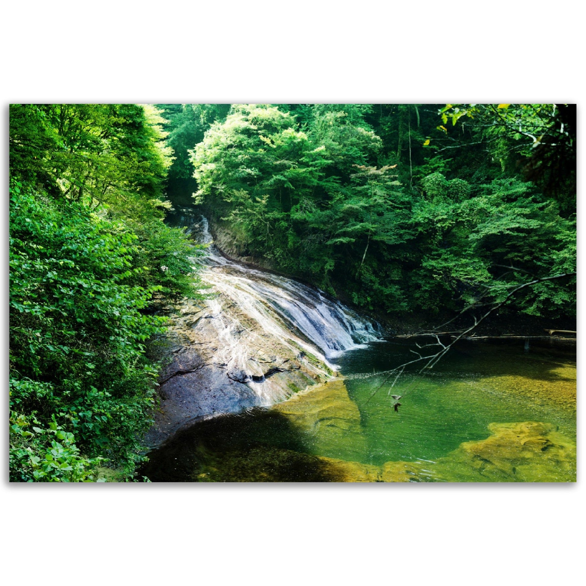 Classic Matte Paper Poster - Beautiful yoro keikoku valley waterfall under morning sun in Chiba Prefecture JAPAN - Green Forest Home